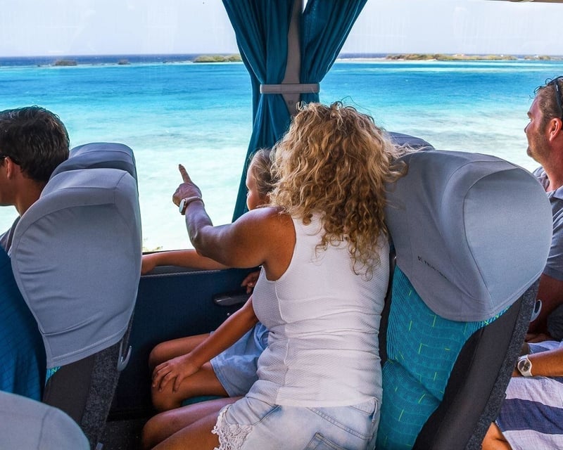 Aruba Half-Day Sightseeing Tour