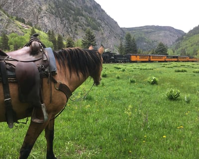 Durango Train & Horseback Trail Ride