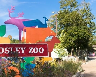 Explore Cosley Zoo In Wheaton