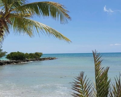 3-Hour Key West Sandbar Charter