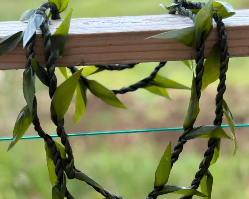 Hawaiian Ti Leaf Lei Making Workshop in Hilo