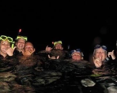 Manta Ray Night Snorkel from Keauhou Bay