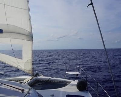 4-Hour Sandbar or Reef Charter in Key West