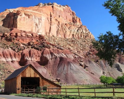Full-Day Guided Capitol Reef National Park Tour