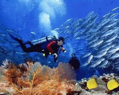 Southern Cuba Liveaboard Diving Trip
