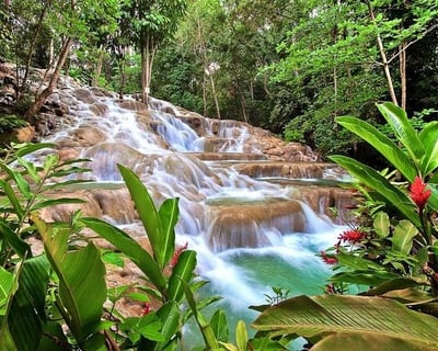 Ocho Rios Dunn's River Falls & Blue Hole Tour