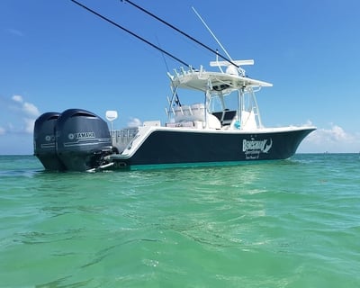 Private Shark Fishing Charter in Tavernier