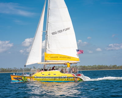 Dolphin Sightseeing Sail Aboard the Footloose Catamaran