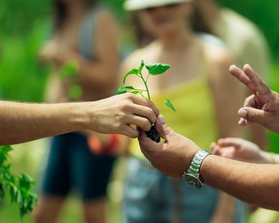 Gurabo Farm-to-Table Cooking Class