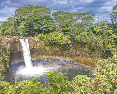 Guided Hilo Waterfalls & Botanical Gardens Tour