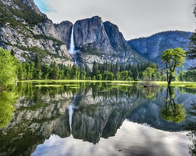 Yosemite and Giant Sequoias Day Tour from San Francisco