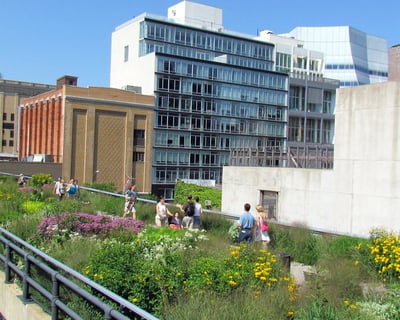 3-Hour High Line Walking Tour