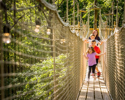 Branson Adventure Park Admission With Historic Sites