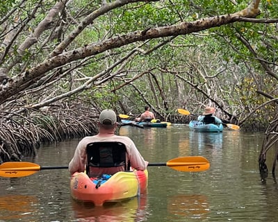 2.5-Hour Lido Key Mangrove Tunnel Kayak Rental