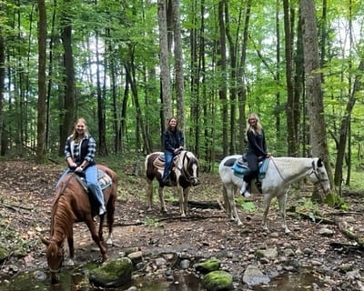 1-Hour Guided Trail Ride in Lake Luzerne