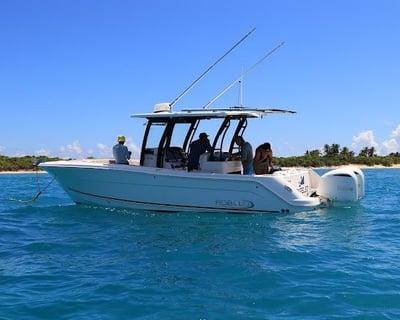 Fajardo Private Snorkeling Charter