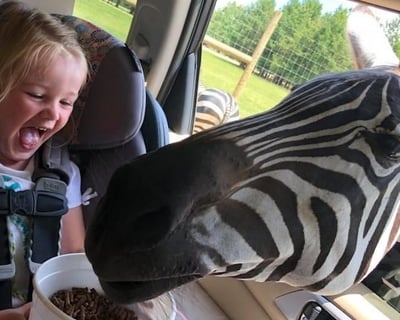 Explore Alabama Safari Park Drive-Thru Safari Admission