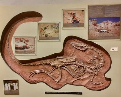 Triassic Fossil Guided Tour at Ghost Ranch