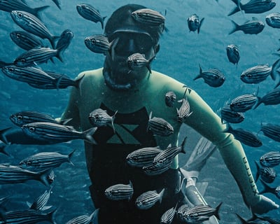 Curso de Instructor de Freediving de 5 Días en Key Biscayne
