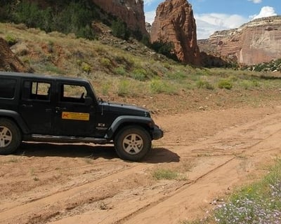 Guided Navajo Culture Tour of Canyon de Chelly