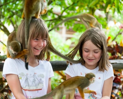 Samaná Zipline & Monkeyland Tour
