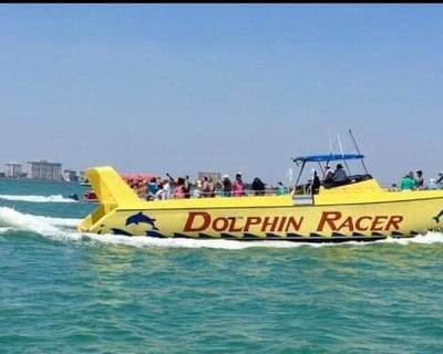 Dolphin & Scenic Waterways Cruise in St. Pete Beach
