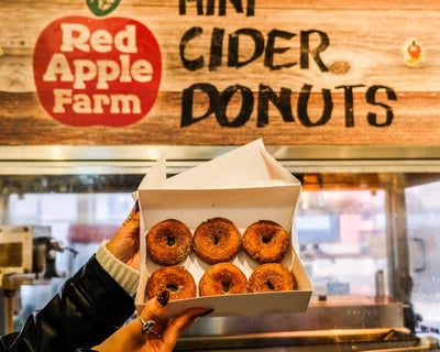 Boston Haunted Donut Walking Tour