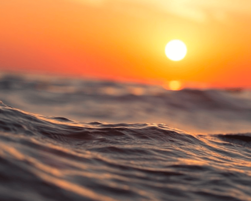 Nantucket Sunset Harbor Cruise