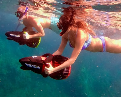 Private Turtle Town Guided Snorkeling Tour