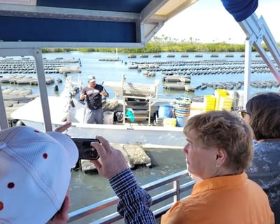 New Smyrna Beach Oyster Farm Boat Tour