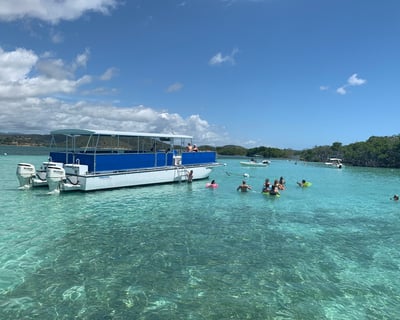Private Glass-Bottom Catamaran Charter in La Parguera