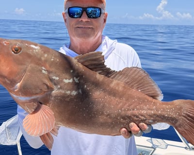 Full-Day Offshore Fishing Charter in Naples