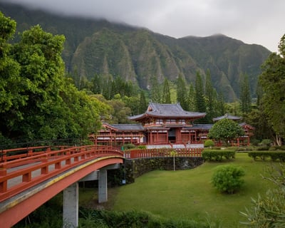 Private Custom Van Charter in Hawaii