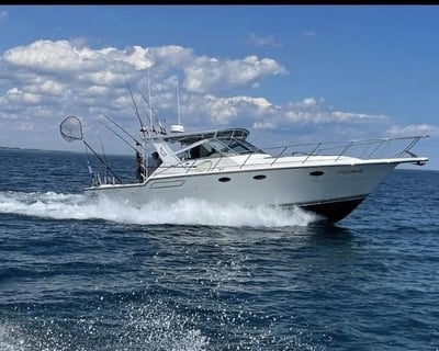 5-Hour Lake Michigan Fishing Charter