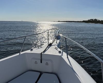 Pensacola 6-Hour Deep Sea Fishing Charter