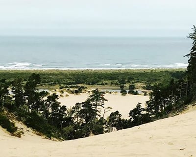 2-Hour ATV & UTV Rental in Winchester Bay