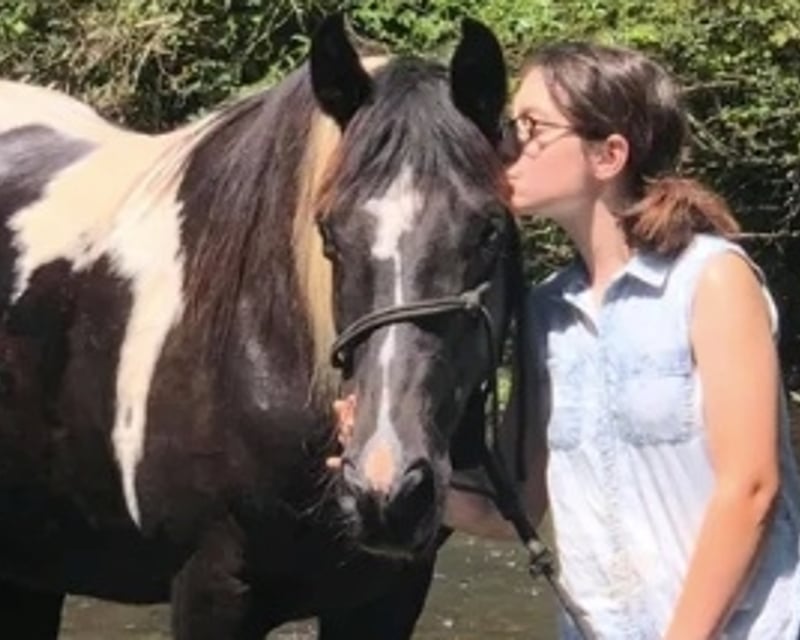 Western Ranch Day & Horseback Riding in Dunlap, TN