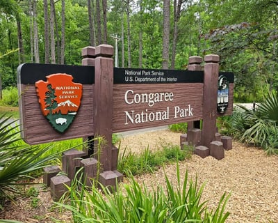 Cedar Creek Kayaking in Congaree National Park
