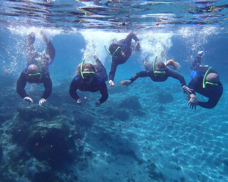 Private Kings Bay Spring Snorkel Tour in Crystal River