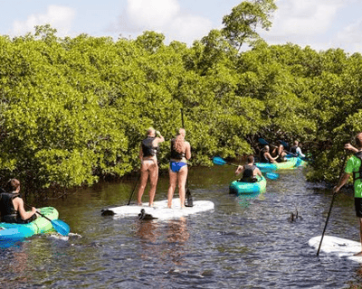 5-Hour Kayak & Paddleboard Rental on Cocohatchee River