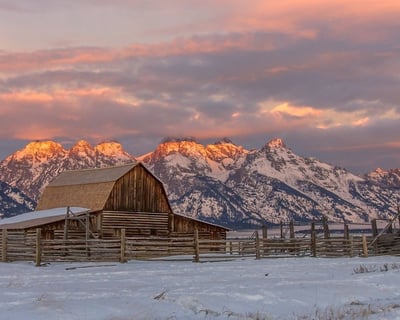 Grand Teton Sunrise & Sunset Tour with Naturalist