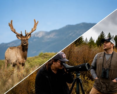 Rocky Mountain National Park Wildlife Tour