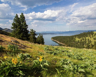 Tour Wild Horse Island on Flathead Lake