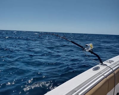 Daytime Swordfish Charter in Santa Rosa Beach