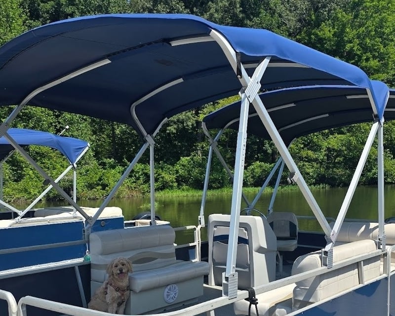 90 HP Pontoon Boat Rental in Spotsylvania