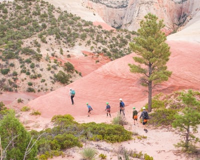 7-Hour Private Guide-Recommended Tour