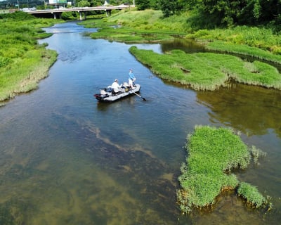 Half-Day Float Fly Fishing on the Little Pigeon River