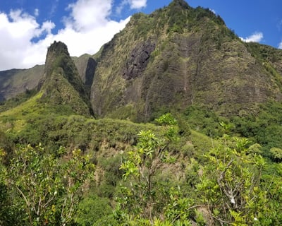 Guided ʻĪao Valley State Park Hike From Kahului