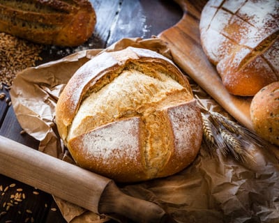 Sonoma County Olive Oil and Bread