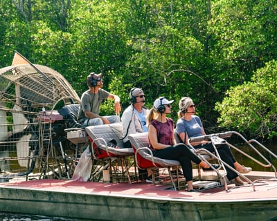Mangrove Airboat & Swamp Buggy Tour in Everglades City
